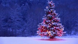 NAVIDAD-1