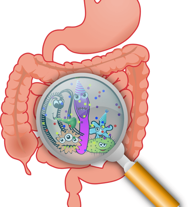 Microbiota y salud mental