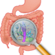 Microbiota y salud mental